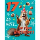 HUMOR BURSDAGSKORT 17 ÅR - GO NUTS thumbnail