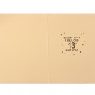 BURSDAGSKORT 13 ÅR thumbnail