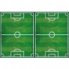 FOTBALLBANE PLASTDUK thumbnail