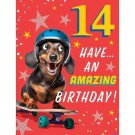 BURSDAGSKORT 14 ÅR - SKATING DACHS thumbnail