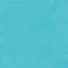 TURKISE SERVIETTER thumbnail