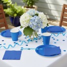 BLÅTT PAPPSERVISE (illustrasjonsbilde) thumbnail