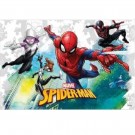 SPIDERMAN DUK - TEAM UP thumbnail