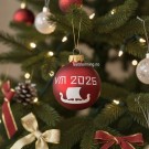 FOTBALL VM 2026 JULEKULE thumbnail