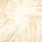 IVORY FJÆR thumbnail