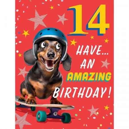 BURSDAGSKORT 14 ÅR - SKATING DACHS