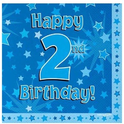 BLÅ SERVIETTER 2 ÅR